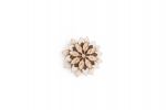 BeWooden - Bellis Flower