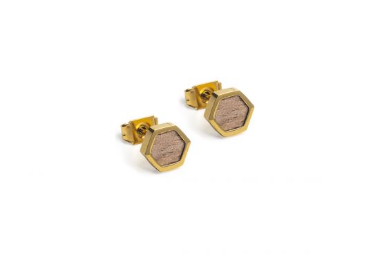 Apis Earrings Hexagon