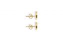 Lux Earrings Circle