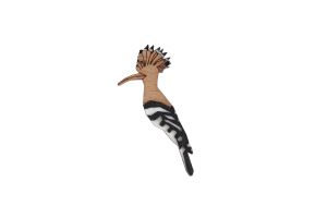 Hoopoe Brooch