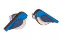 Blue Bird Earrings