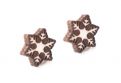Brunn Snowflake Earrings