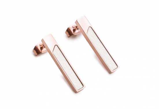 Bright earrings rectangle