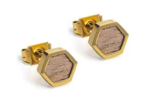 Apis Earrings Hexagon