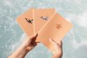 Notepad A5 – Turtle