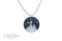 The Little prince and rose