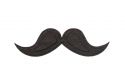 Moustache Brooch